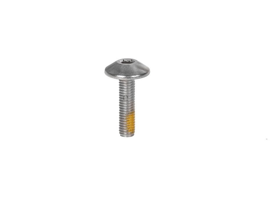 Болт M5X20 оригинал BRP 250000528 (TORX-TRUSS M/S NYLON PATCH M5X20)
